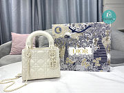 Small Lady Dior Latte Uramatte Cannage Calfskin In Full White 17cm - 1