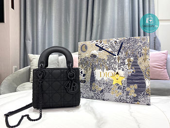 Dior Lady Mini Bag Full Black Ultra Matte Cannage Calfskin 17cm