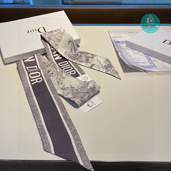 Dior Toile De Jouy Mitzah Scarf Navy / White 