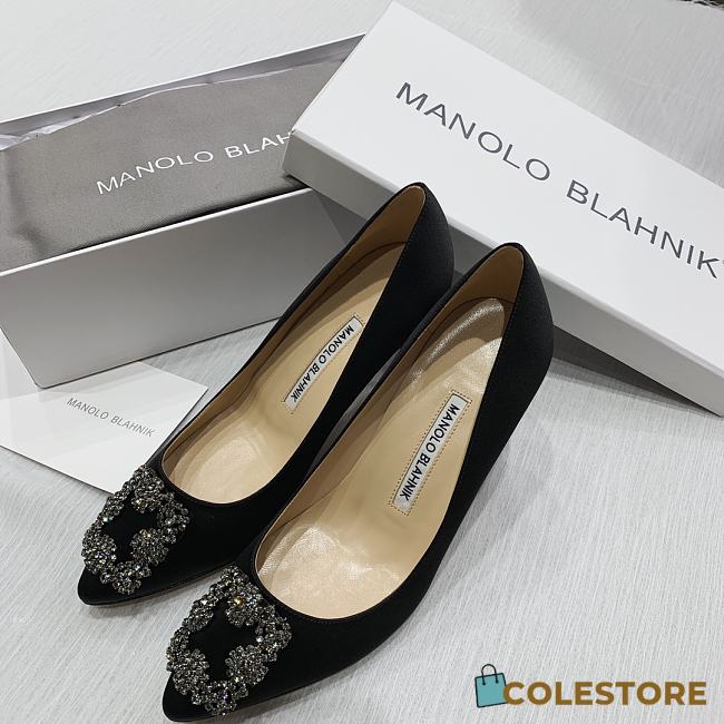 Manolo Blahnik Manolo Blahnik Hangisi Pumps 7cm - 1