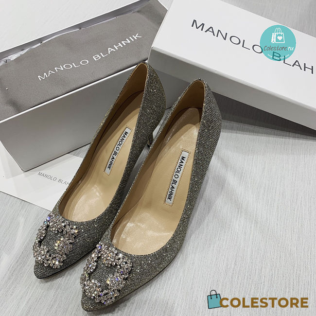 Manolo Blahnik Manolo Blahnik Hangisi Pumps In Grey 7cm - 1