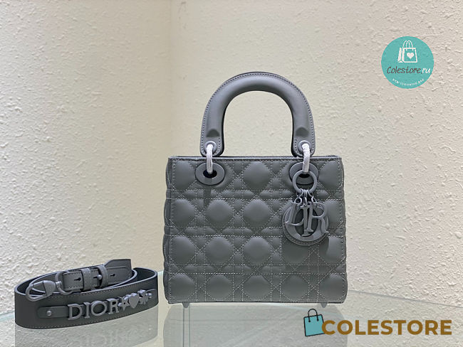 Lady Dior Ultramatte Gray 20x16.5x8 cm - 1