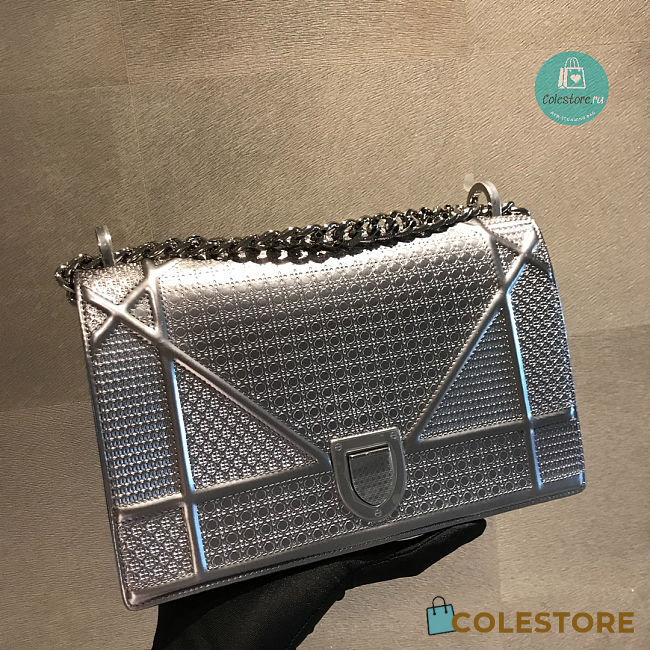 Dior Diorama Metallic Silver 25x10x15cm - 1