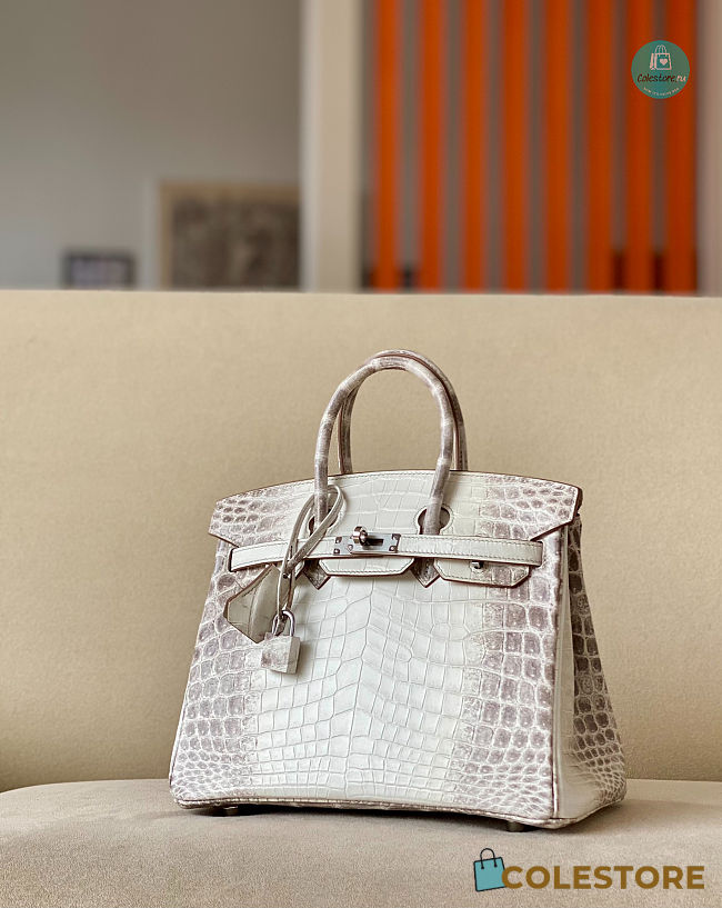  Hermès Birkin Himalaya Crocodile Leather In White Size 25x20x13cm - 1