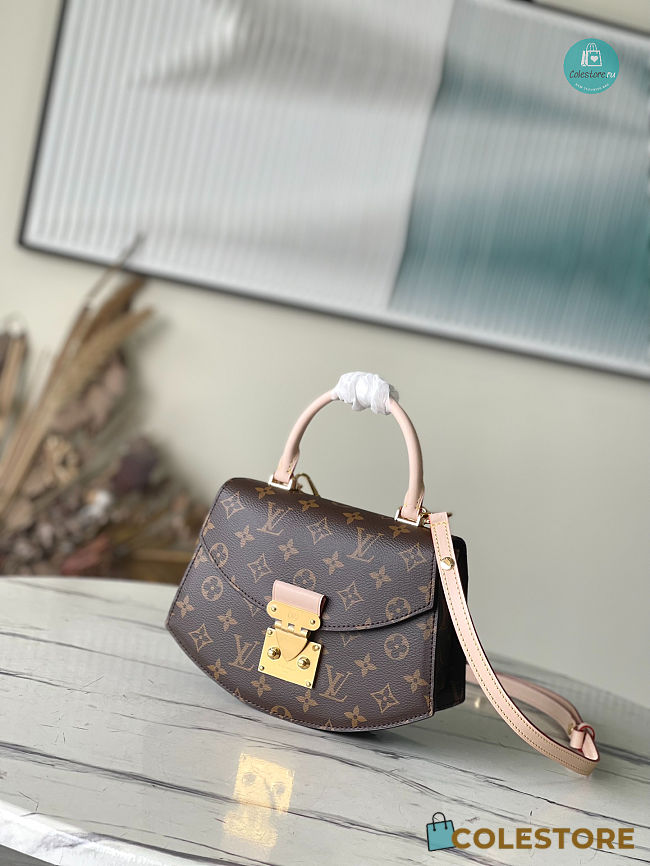 Louis Vuitton Pochette Bag Monogram Canvas Leather M46548 Brown Size 24x17x8cm - 1