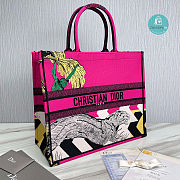 Dior Pink Book Tote Bag De Jouy Embroidery Size 36x28x17cm - 4