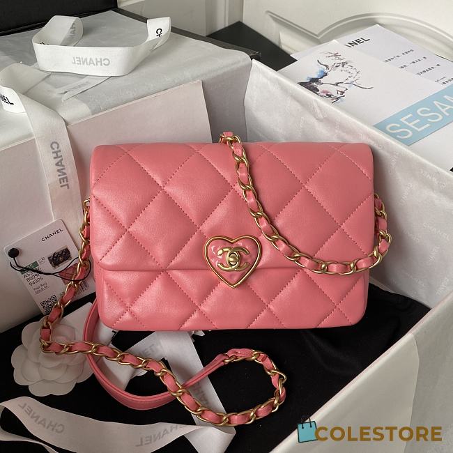 Chanel Flap Lambskin, Plexi & Gold-Tone Metal Pink Size 21x14x7cm - 1