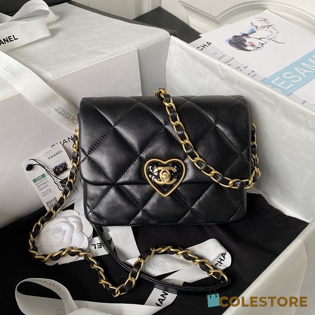 Colestore Chanel Flap Lambskin, Plexi & Gold-Tone Metal Black Size 18x13.5x5.5cm - 1