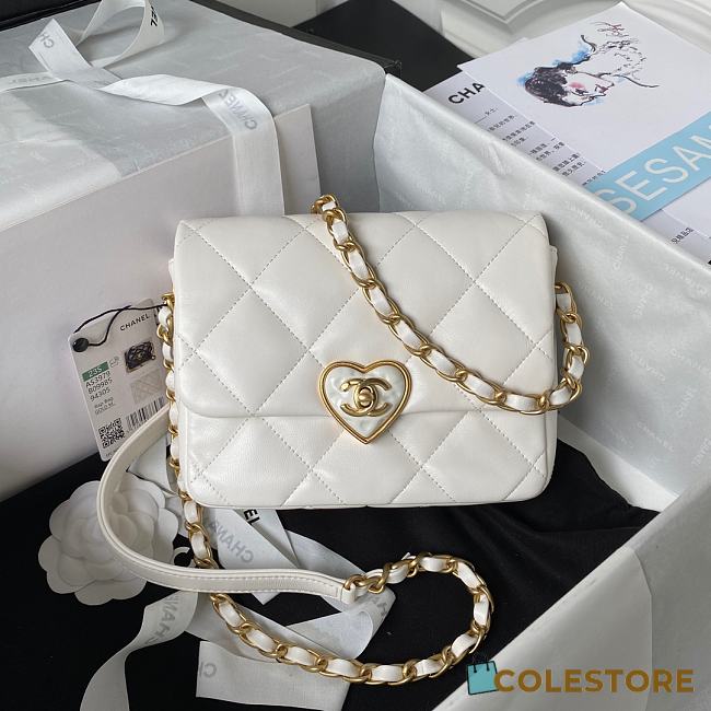 Chanel Flap Lambskin, Plexi & Gold-Tone Metal White Size 18x13.5x5.5cm - 1