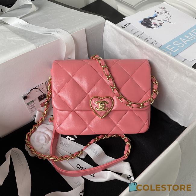 Chanel Flap Lambskin, Plexi & Gold-Tone Metal Pink Size 18x13.5x5.5cm - 1