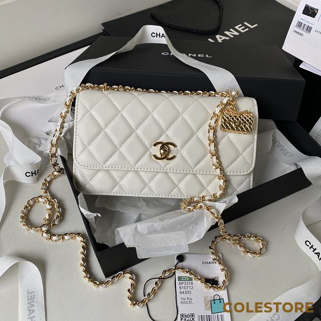 Chanel 23s Woc White Size 19cm - 1