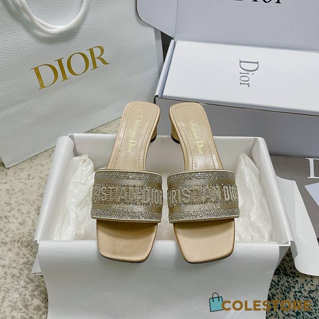 Christian Dior Dway Slides 001 - 1