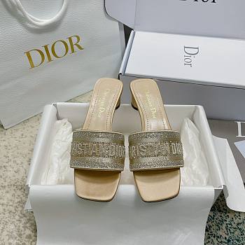 Christian Dior Dway Slides 001