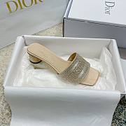 Christian Dior Dway Slides 001 - 2