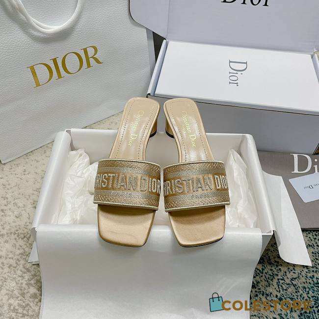 Christian Dior Dway Slides 002 - 1