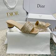 Christian Dior Dway Slides 002 - 5