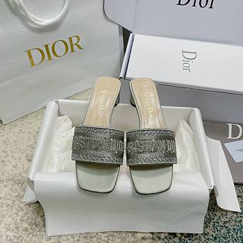 Christian Dior Dway Grey Slides 001