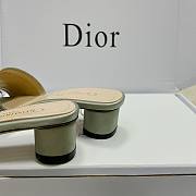Christian Dior Dway Grey Slides 001 - 6