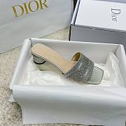 Christian Dior Dway Grey Slides 001 - 2