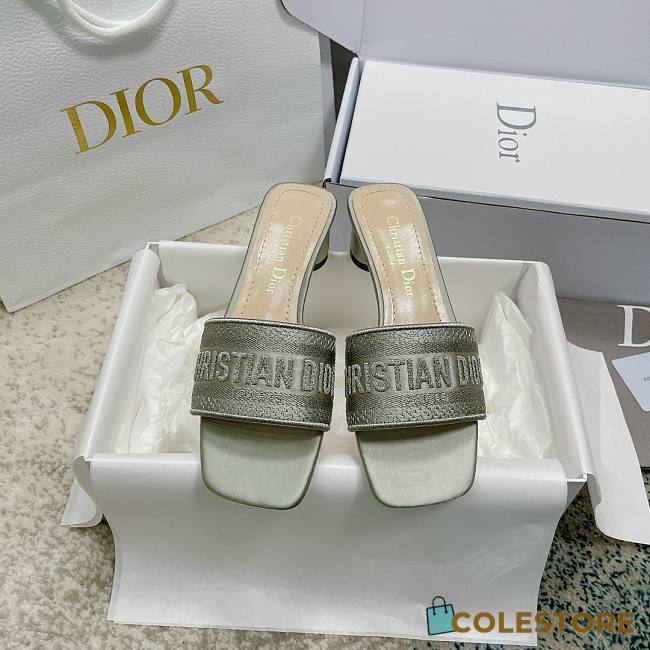 Christian Dior Dway Grey Slides 002 - 1