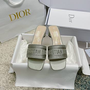 Christian Dior Dway Grey Slides 002