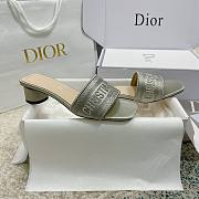 Christian Dior Dway Grey Slides 002 - 5
