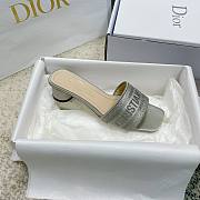 Christian Dior Dway Grey Slides 002 - 4