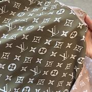 Louis Vuitton Bikini Green/Pink  - 3
