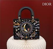 Christian Dior Nature Ballet Lady Dior Embroidered Fabric Medium Size 24x20x11cm - 4