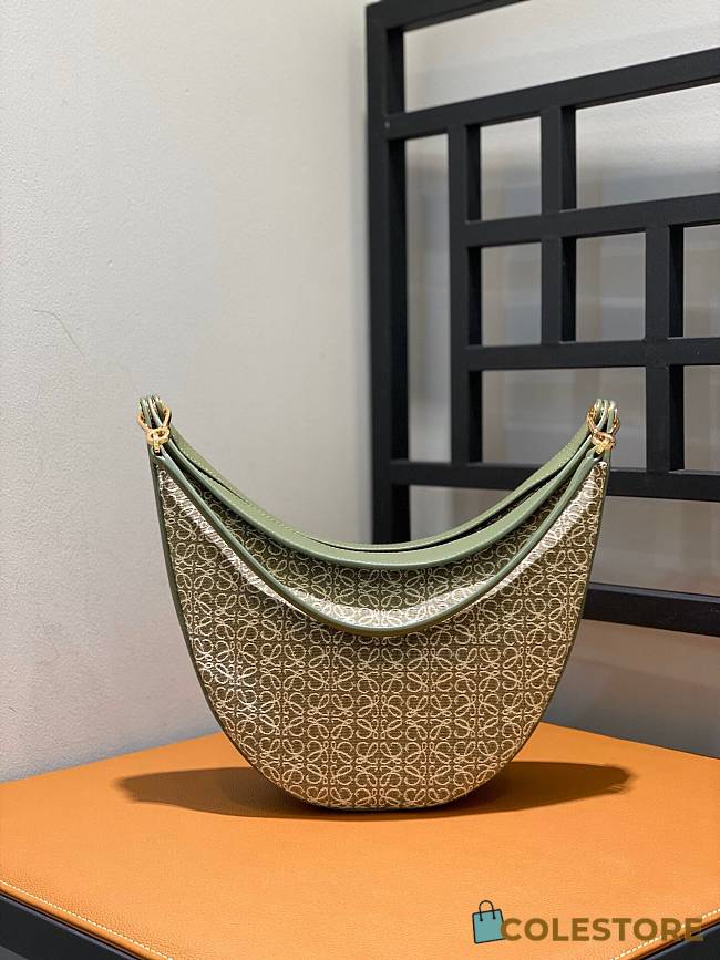 Loewe Hobo Luna Green Bag 29x27x8cm - 1