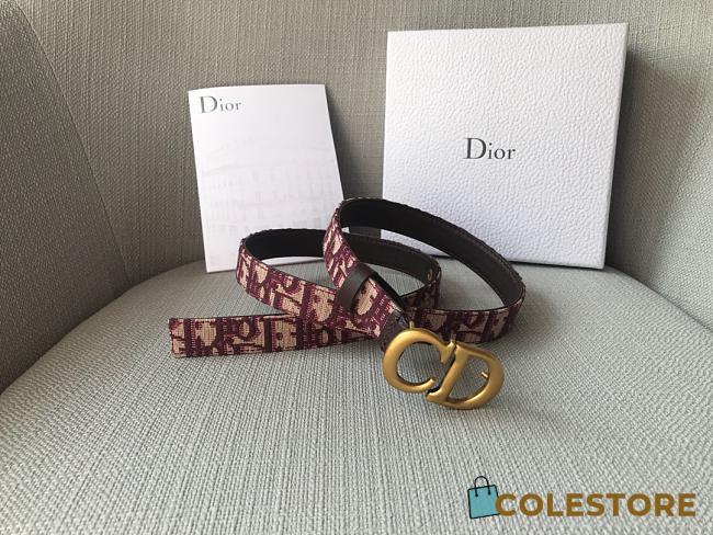 Christian Dior Saddle Red Belt 2cm - 1