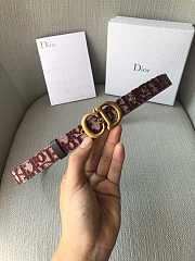 Christian Dior Saddle Red Belt 2cm - 6