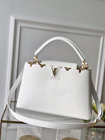 Louis Vuitton Capucines Monogram M55235 Size 31x21x11cm