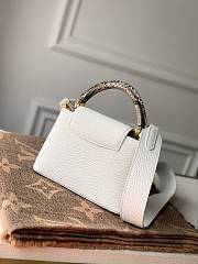 Louis Vuitton Taurillon BB Size 21×14×8cm  - 6
