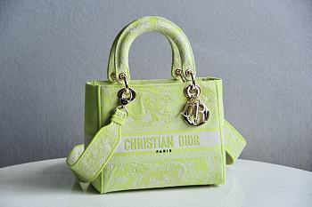 Dior Lady D-Lite Reverse Green Size 24x20x11cm
