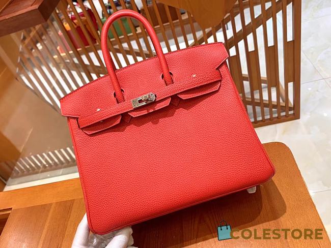 Hermes Birkin Red Leather Size 25cm - 1