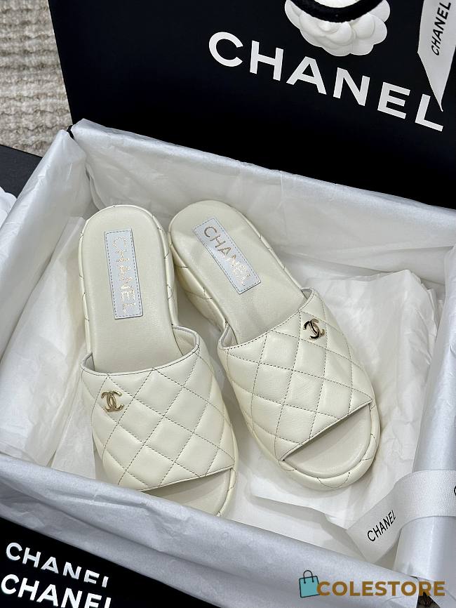 Chanel Ss23 Size 35-41cm - 1