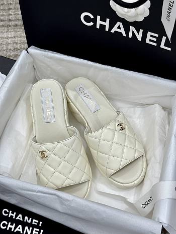 Chanel Ss23 Size 35-41cm