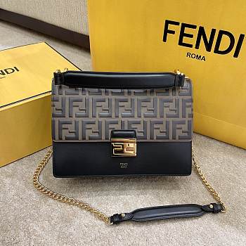 Fendi Roma Kanu 25x17x10 