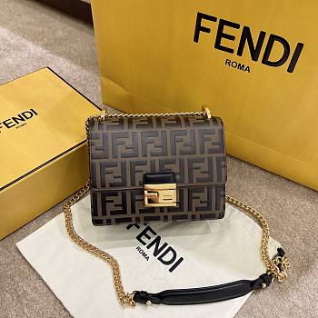 Fendi Roma Kanu Brown Size 19x13x9cm