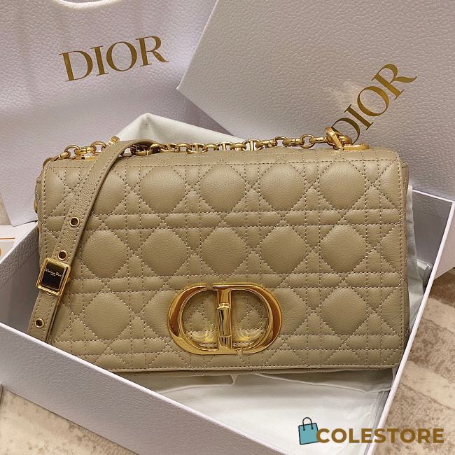 Dior Caro Medium Womens Bag Size 25.5x15.5x8cm - 1
