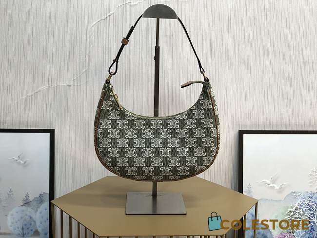 Celine 22 Ava Bag In Triomphe Canvas And Calfskingreen Size 23x13.5x6cm - 1