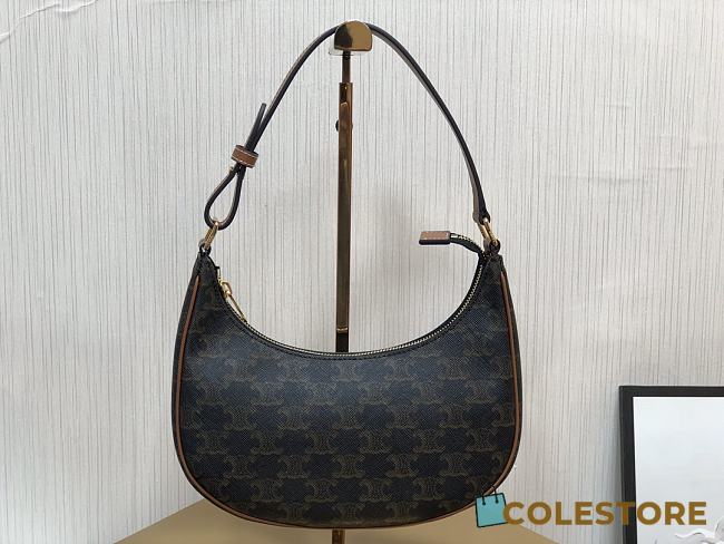 Celine 22 Ava Bag In Triomphe Canvas And Calfskin Tan Size 23x13.5x6cm - 1