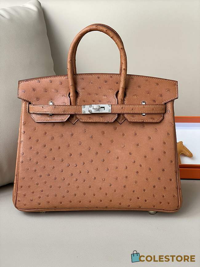 Hermes Birkin Ostrich Leather 25cm - 1