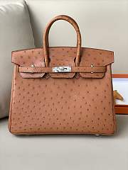 Hermes Birkin Ostrich Leather 25cm - 1