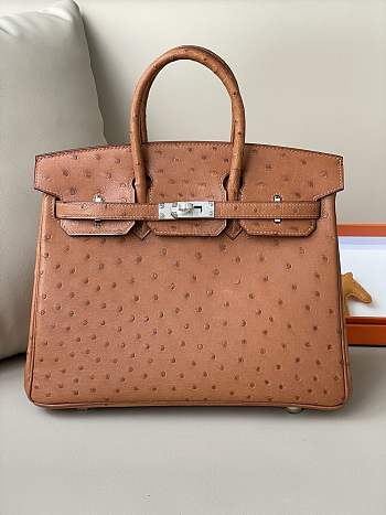 Hermes Birkin Ostrich Leather 25cm
