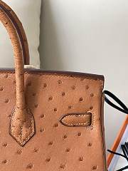 Hermes Birkin Ostrich Leather 25cm - 6