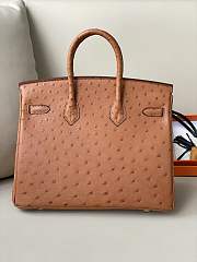 Hermes Birkin Ostrich Leather 25cm - 4