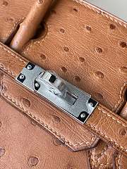 Hermes Birkin Ostrich Leather 25cm - 3