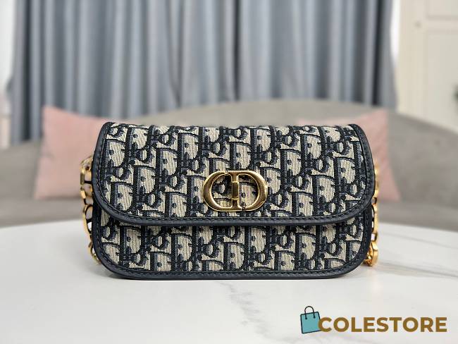 Dior 30 Montaigne Avenue Oblique Size 22.5 x 12.5 x 6.5cm - 1